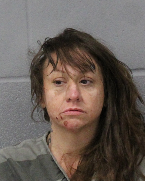 AMANDA POHLMEIN booking photo