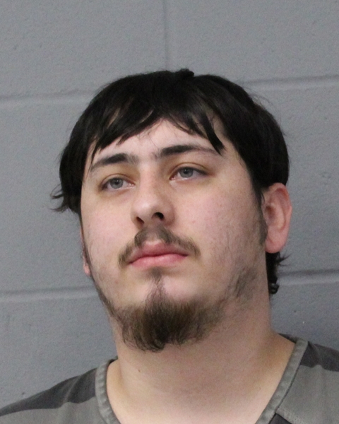 DEVEAN MCKENZIE booking photo