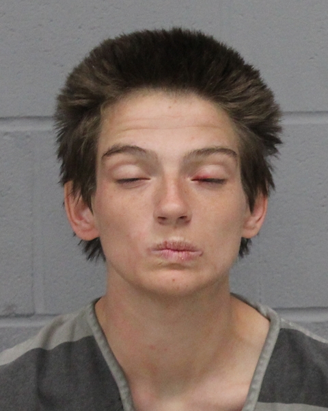 CHLOE ADKINS booking photo