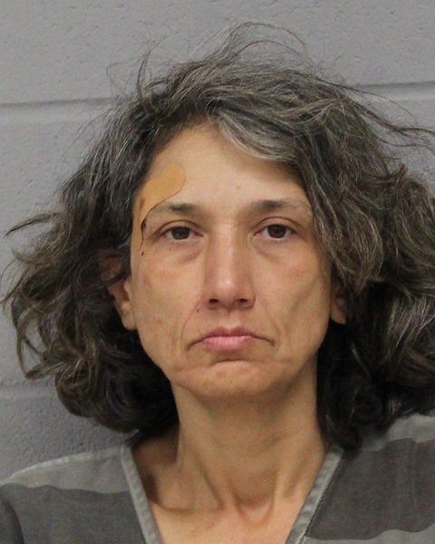 TAMARA SARTWELL booking photo