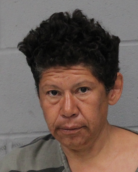 MONICA HERNANDEZ booking photo
