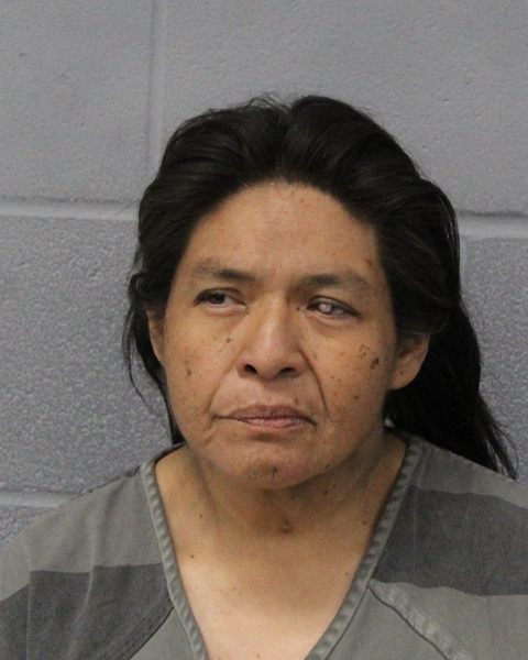 DIANTHA DENNIS booking photo