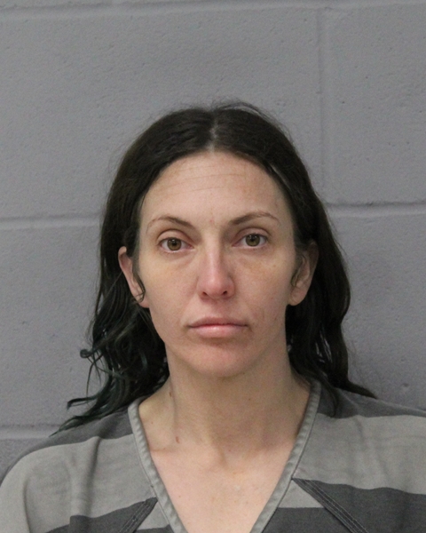 ALYCIA FOWLER booking photo