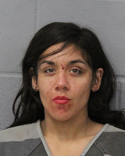 ARIANA LIMONES booking photo