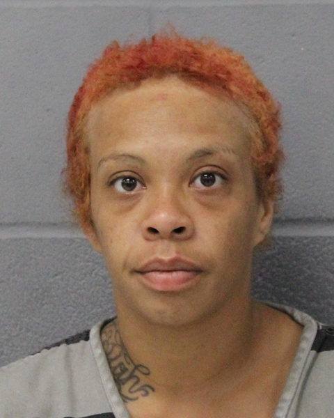TATJANA VALDEZ booking photo