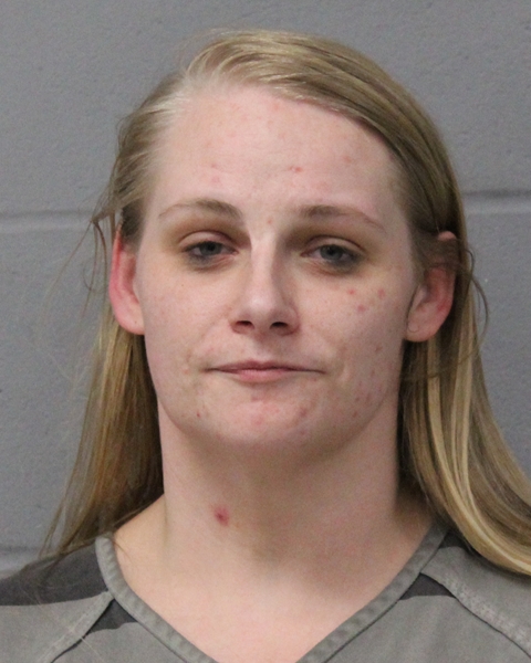 REBECCA LEWIS booking photo