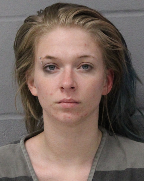 ALEYSA INSCO booking photo