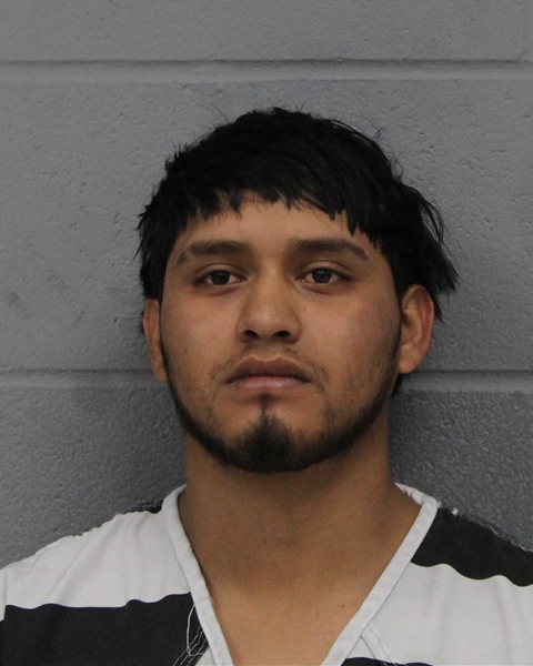 SERGIO ENRIQUE ALVARADO booking photo