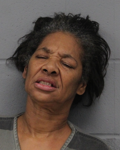 DEBRA NEWBERRY booking photo