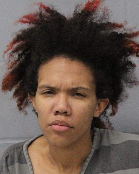DESTINI MENDEZ booking photo