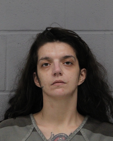 TAYLOR BRADLEY booking photo