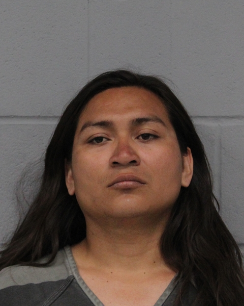 RICARDO FLORES-MENDOZA booking photo