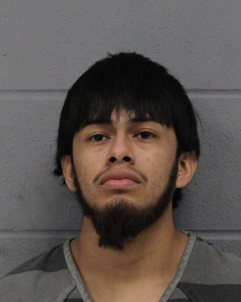 ERIK ALFARO booking photo