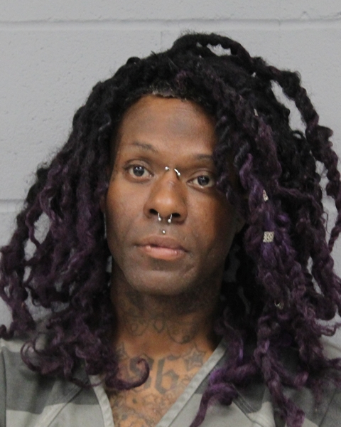 BRIAN JOHNSON booking photo