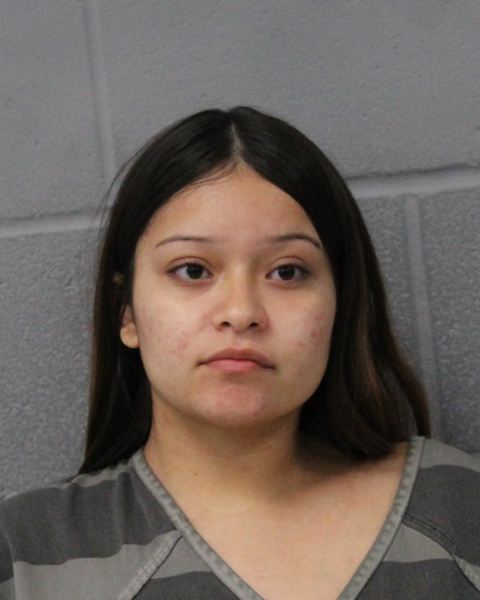 PAMELA GARCIA booking photo