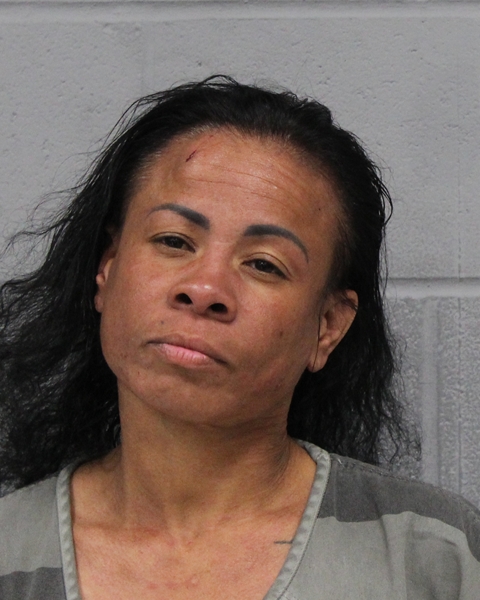 YANELIS DELAVEGA-IZQUIERDO booking photo