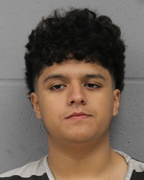 ANTHONY ROJAS booking photo