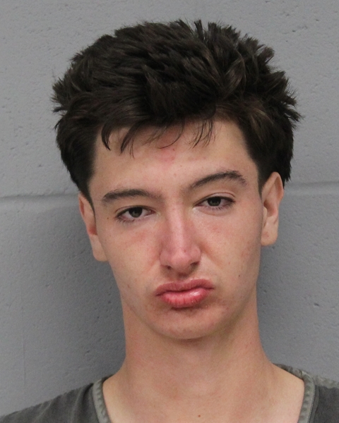 GIBBSON GUINN booking photo