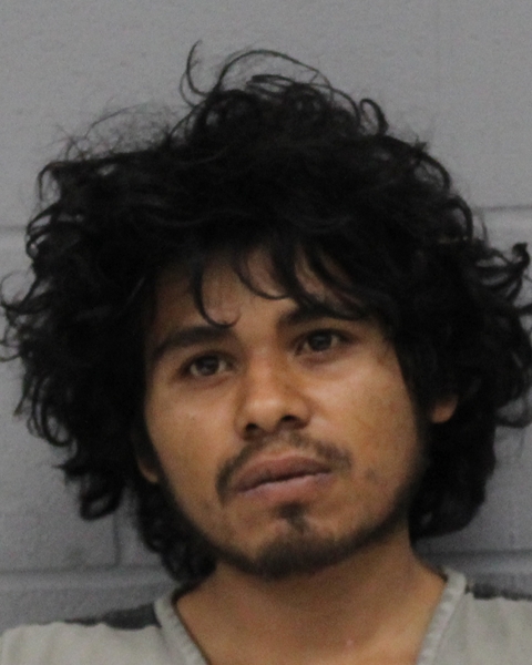 ROGUE MORALES VEGA booking photo