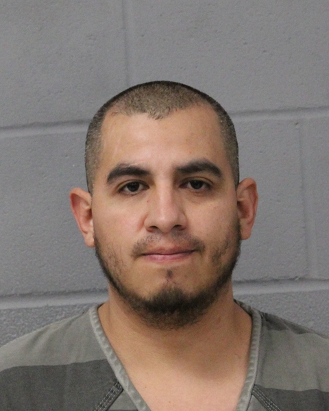 NERY PEREZ booking photo
