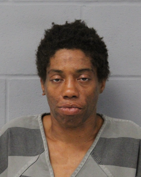 SHARIKA VALES booking photo