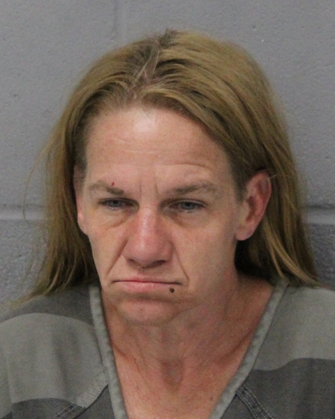 CHRISTINE LEMON booking photo