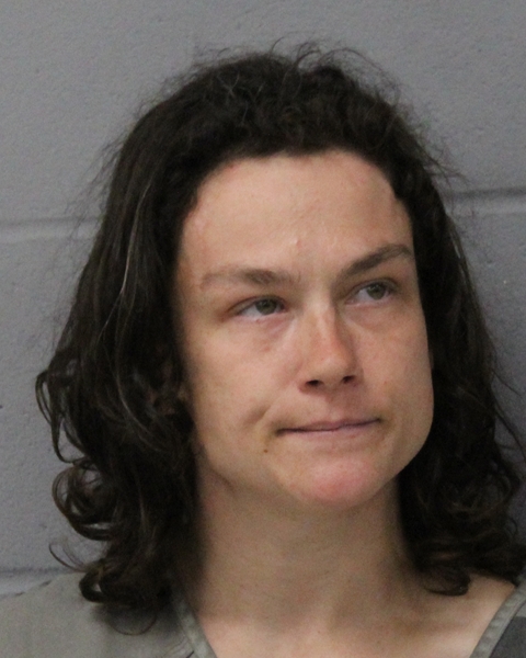 JULIANNA BINGHAM booking photo