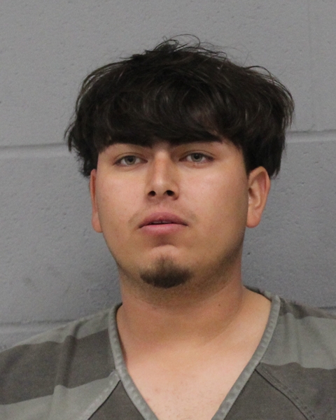 GEOVANY BEJARANO booking photo