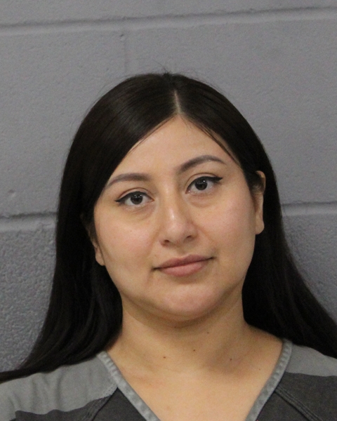 MONICA MONDRAGON booking photo