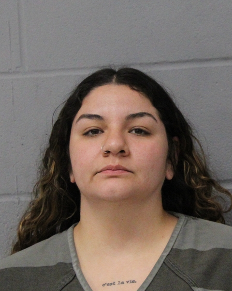 LISETTE OCHOA booking photo