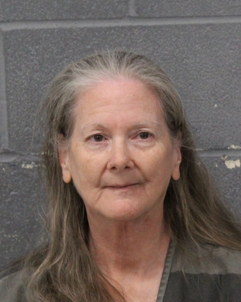 ANNE MOTTOLA booking photo