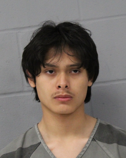 JOSE ROJAS ALVARADO booking photo