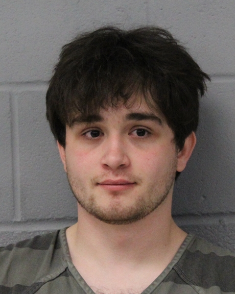 THEODORE RAISKIN booking photo