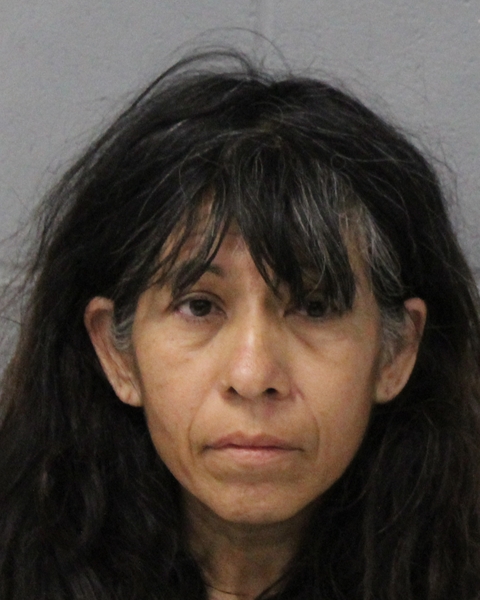 CHRISTINE BANDA booking photo