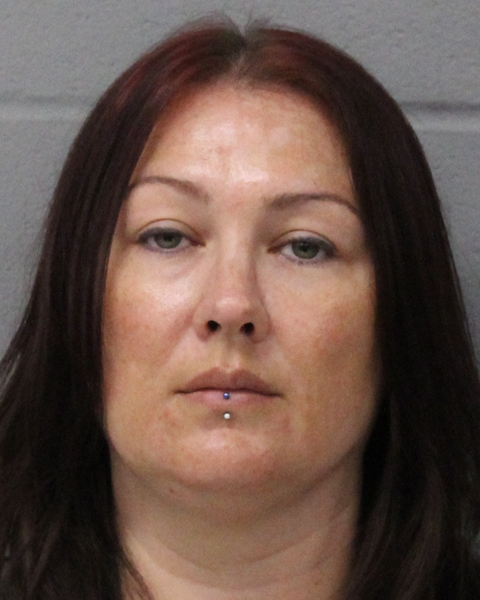 BRANDI REYNOLDS booking photo