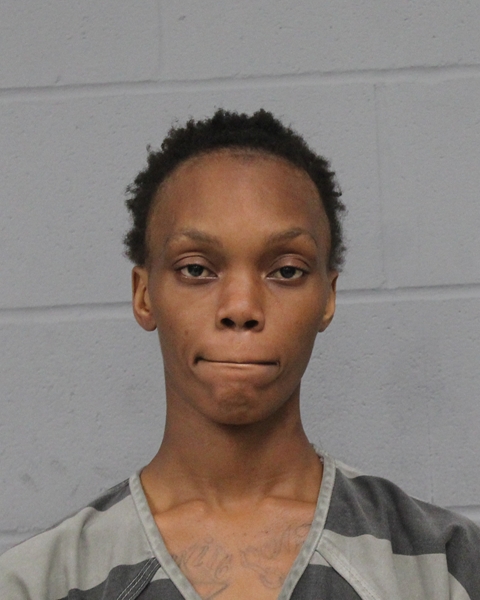 ANASTASIA PEARSON booking photo