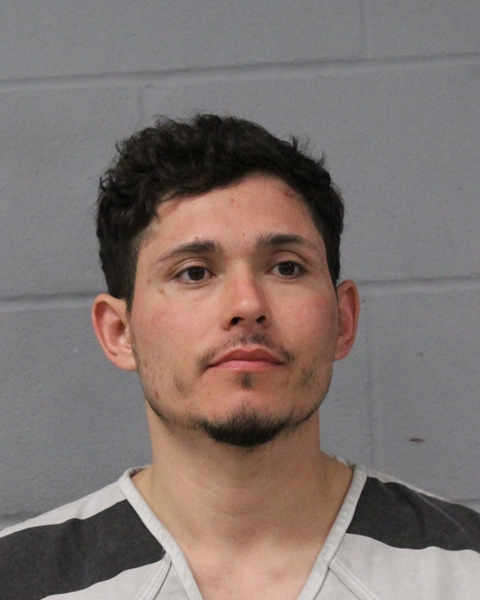 FERNANDO ARELLANO booking photo
