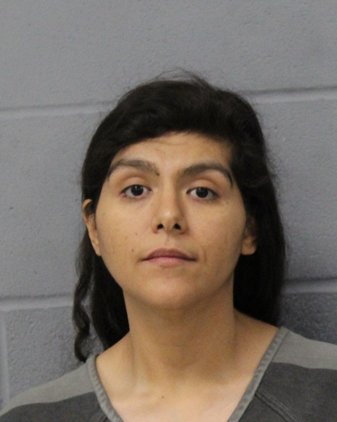 BRENDA HASEDORN booking photo