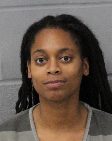 NICOLE JOHNSON booking photo