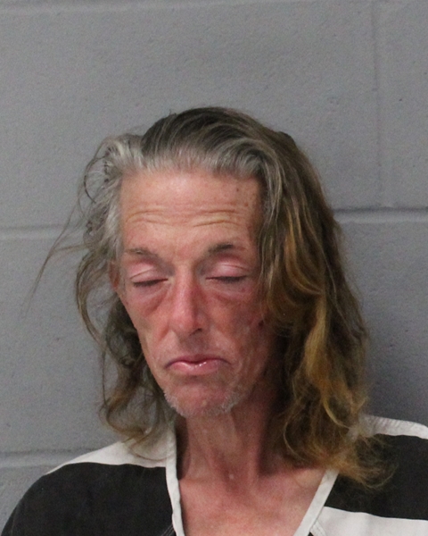 VERONICA SETTLES booking photo