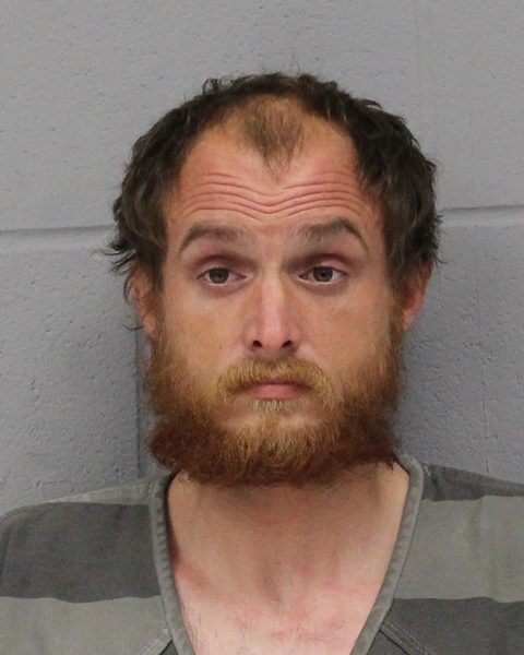 JOEL NOVICK booking photo