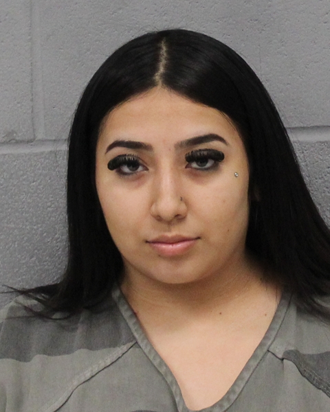 MARIELLA ALVAREZ booking photo