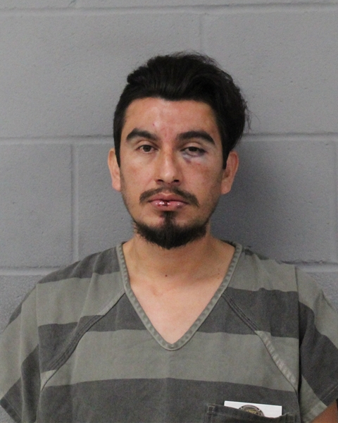 FELIPE RAMOS NAVARRO booking photo