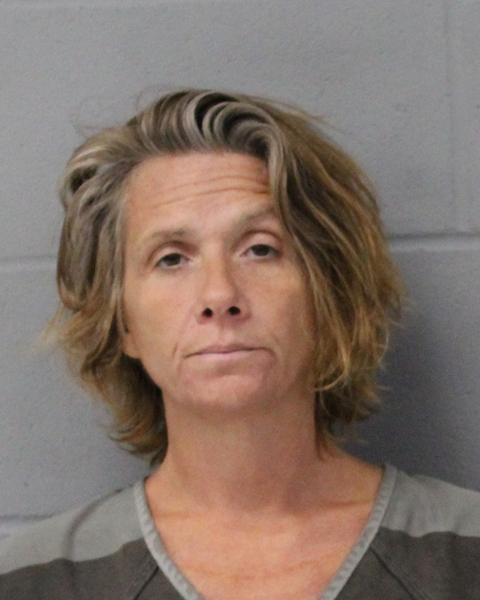TINA STOUT booking photo