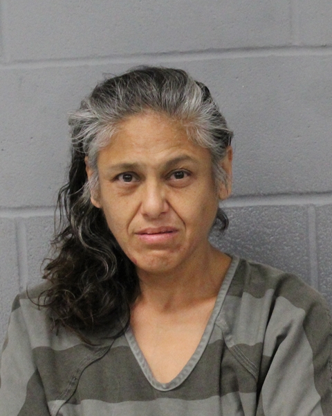 YESSENIA VASQUEZ booking photo