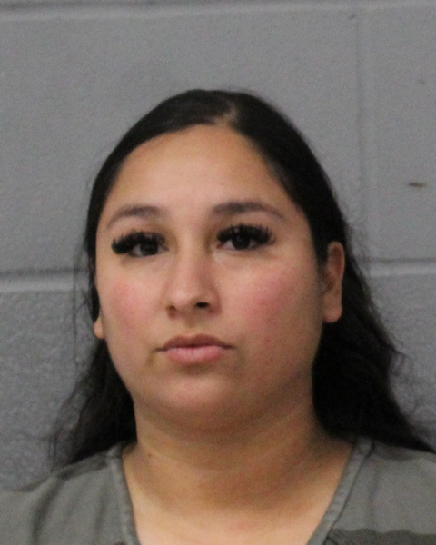 JESSICA GONZALES booking photo