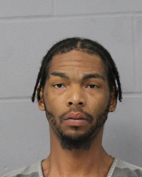 JA RAI BRADY booking photo