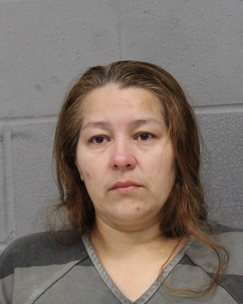 JUANA TORREZ booking photo