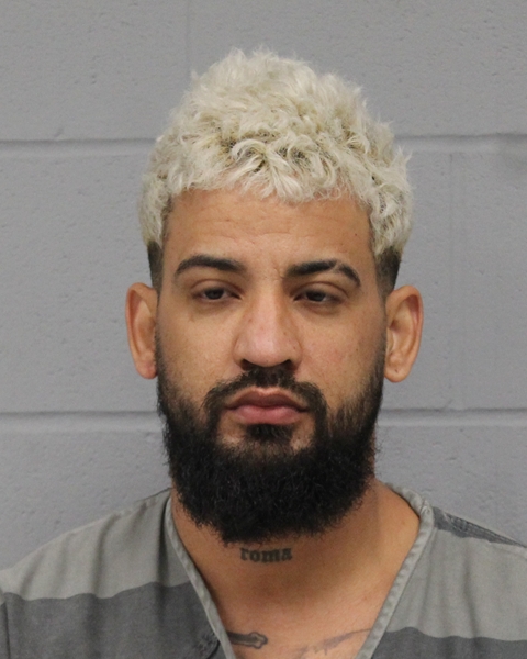 YOWDY ROMAS SUAREZ booking photo