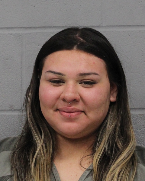 JULISSA VALADEZ booking photo